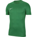 Nike Park IIV Trikot SS