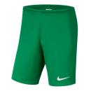 Nike Park III Short