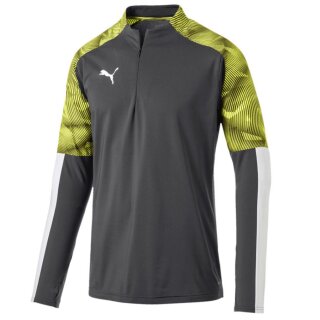 Puma Cup Training 1/4 Zip Top