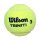 Wilson Triniti 3 Tennisball