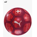 Puma SFV Fan Ball