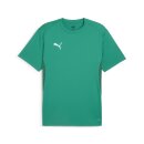 Puma teamGOAL Training Jersey