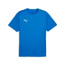 Puma teamGOAL Training Jersey