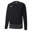 Puma teamGOAL 23 Training Sweat