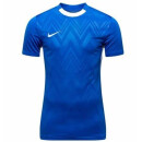 Nike Dri-Fit T-shirt