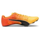 Puma evoSpeed Future Faster +4